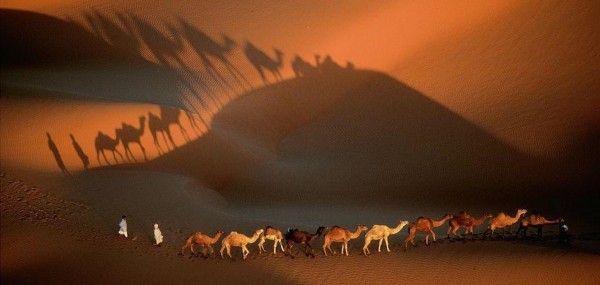 Mauritania Desert