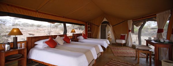 lewa_safari_camp_-_accommodation_-_triple_tent-51