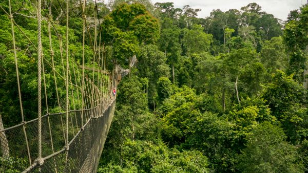 Kakum National Park